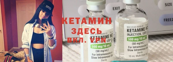 сатива Горнозаводск