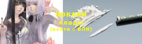 сатива Горнозаводск
