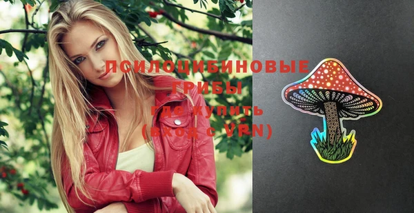 альфа пвп Горно-Алтайск
