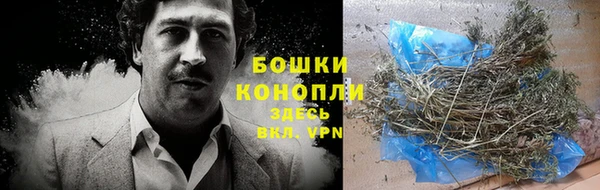 сатива Горнозаводск