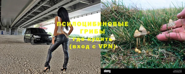экстази Горняк