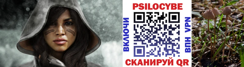 Галлюциногенные грибы прущие грибы  Купить закладки  Брюховецкая 